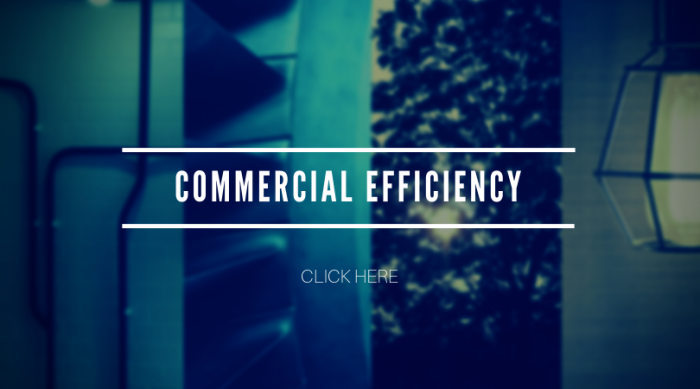 commercial efficiency